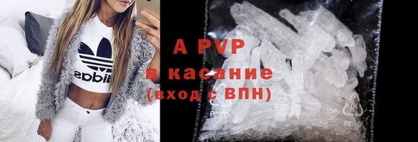 стаф Волоколамск